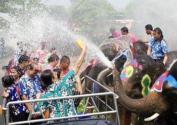 songkran elephant chiang mai