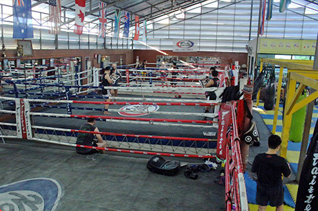 Muay Thai Training Chiang Mai